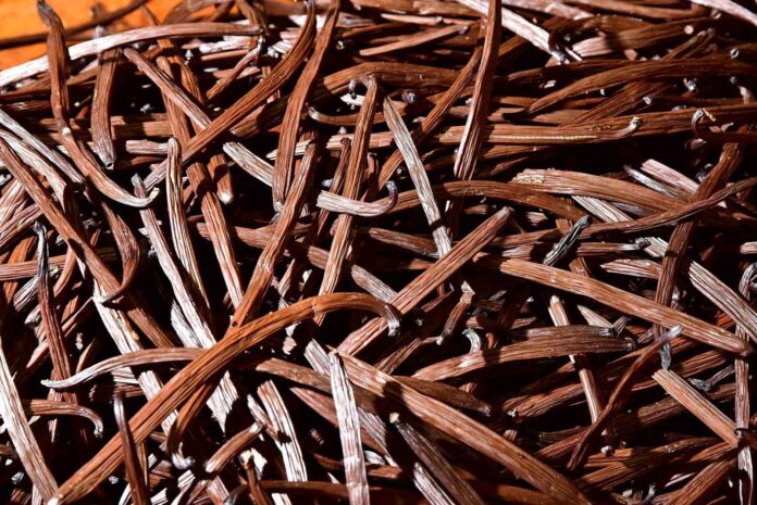 La Vanilleraie du Grand Hazier