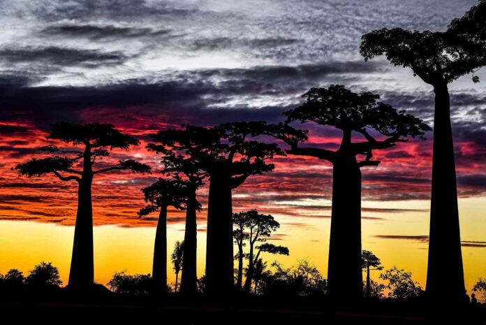 A Madagascar | Morondova l’ensorceleuse